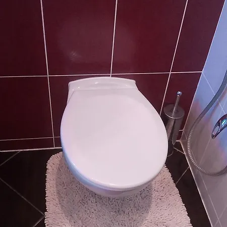 Comfort Lejlighed Karlovy Vary